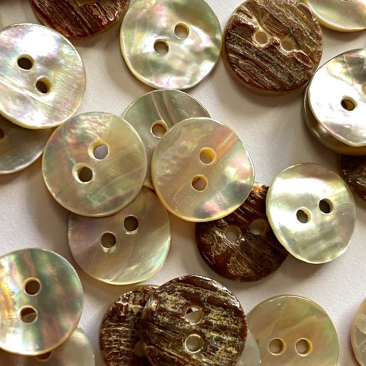 Textile Garden abalone shell 11mm – Brooklyn General Store
