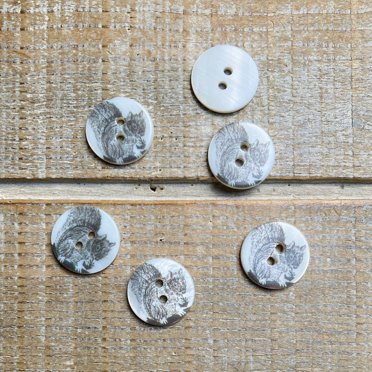 Squarell Shell BGS River Shell Button with Squirrel - 18mm – Brooklyn General Store