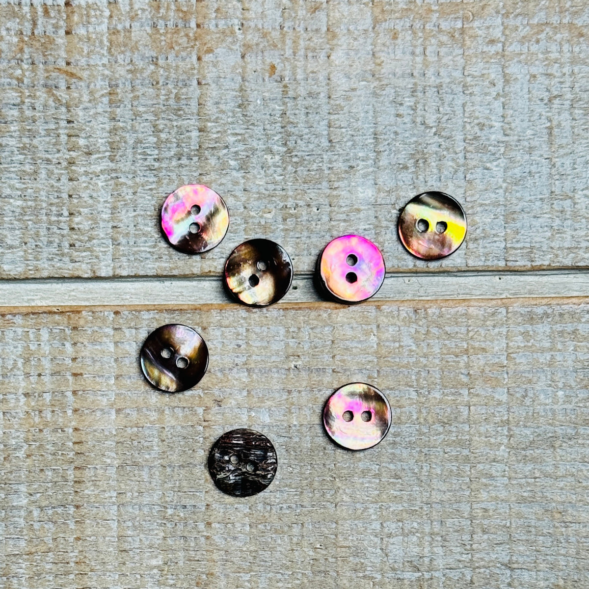 Textile Garden abalone shell 11mm – Brooklyn General Store