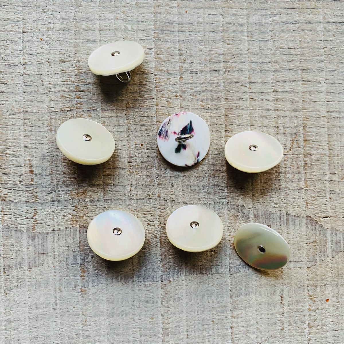 White Trochus Shell Silver Pin Shank Round (BB0016) Button 15mm ...