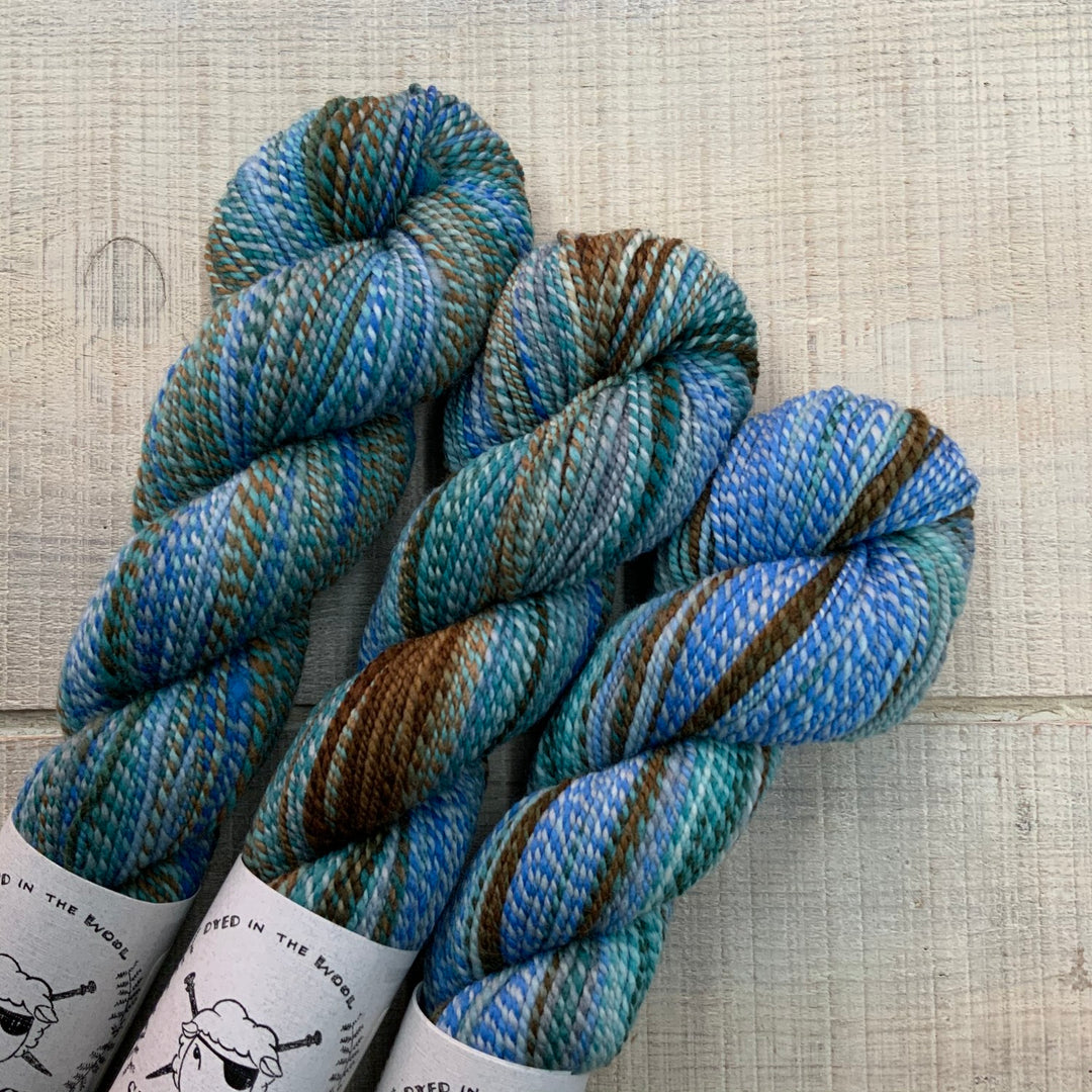 Spincycle DITW Ruination - 4 Skeins buy