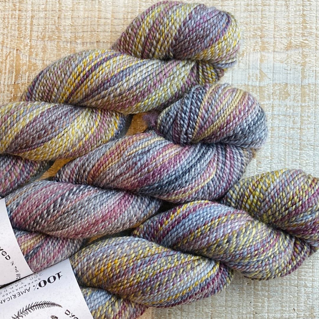 Spincycle DITW Ruination - outlet 4 Skeins