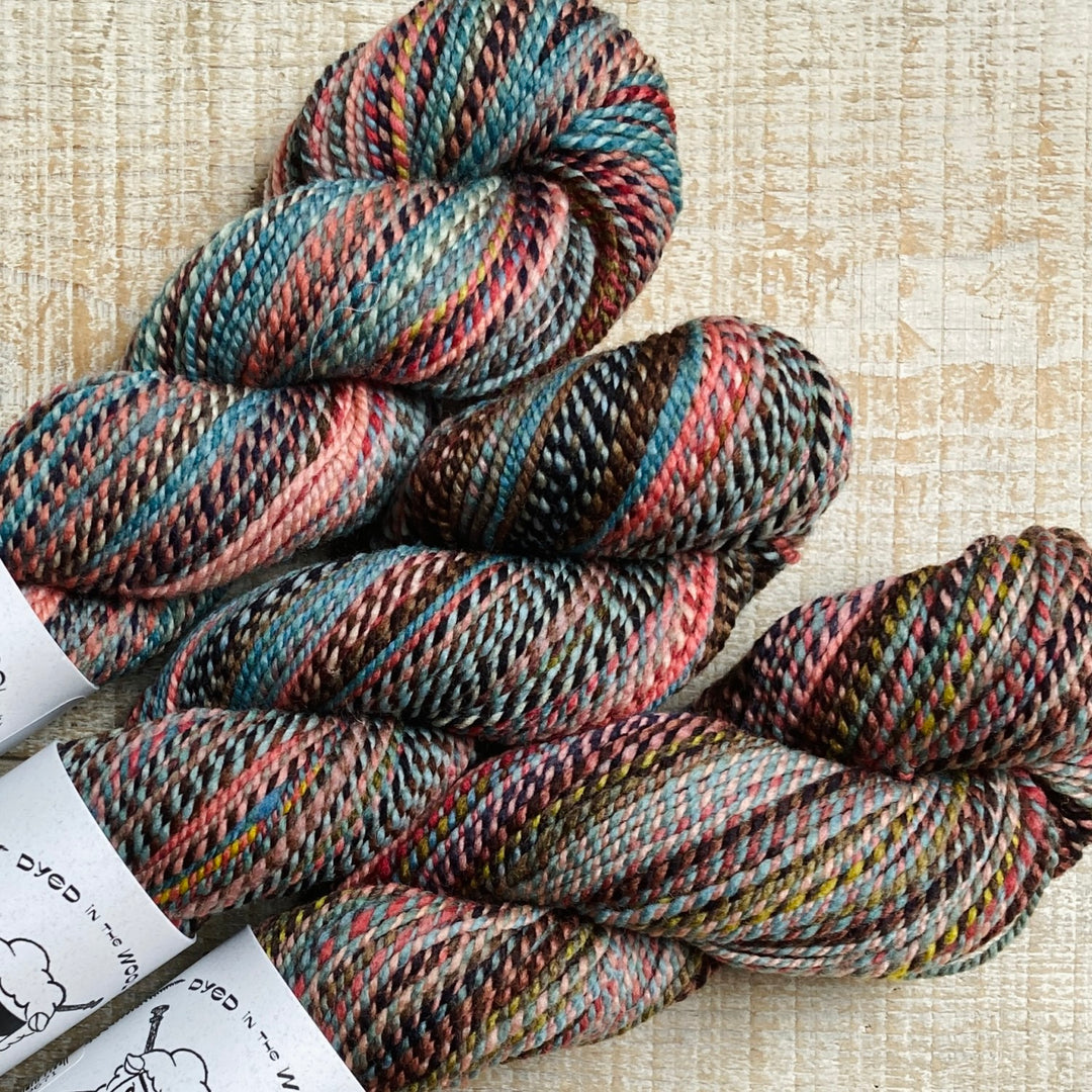 Spincycle DITW Ruination - outlet 4 Skeins